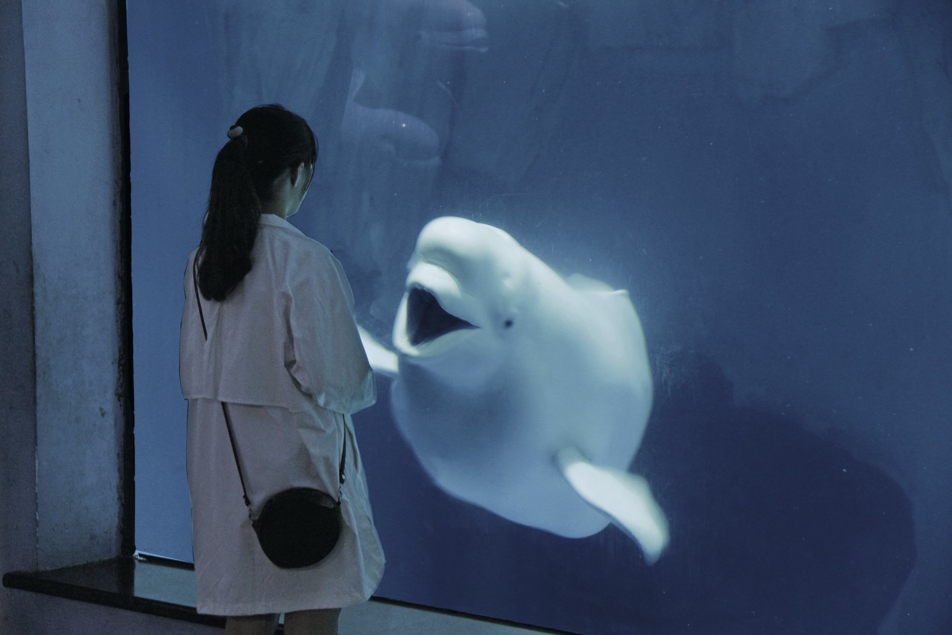 海底世界