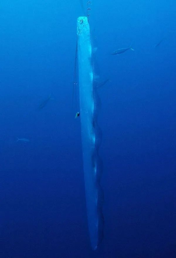 海底世界