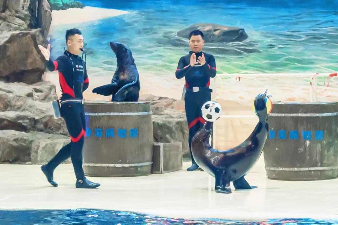 海底世界