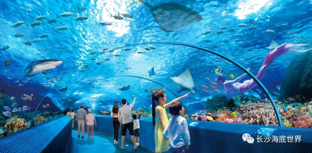 海底世界