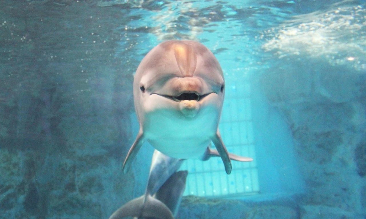 海底世界