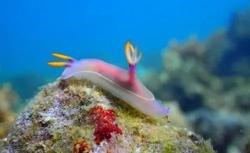 海底世界