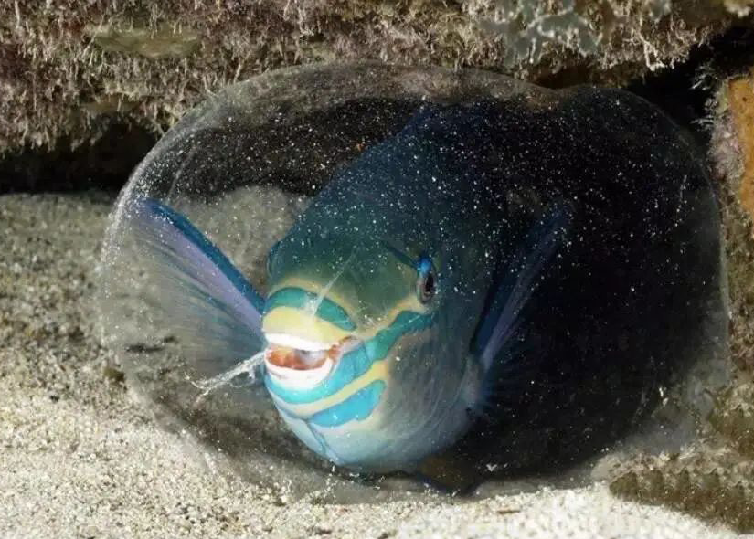 海底世界