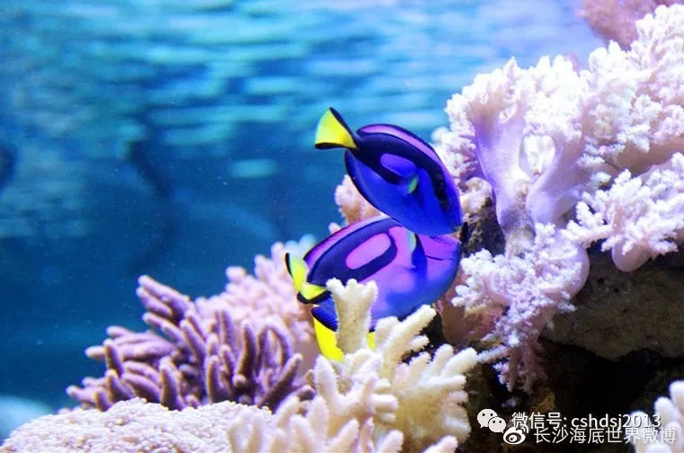 海底世界