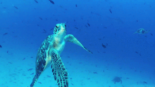 海底世界