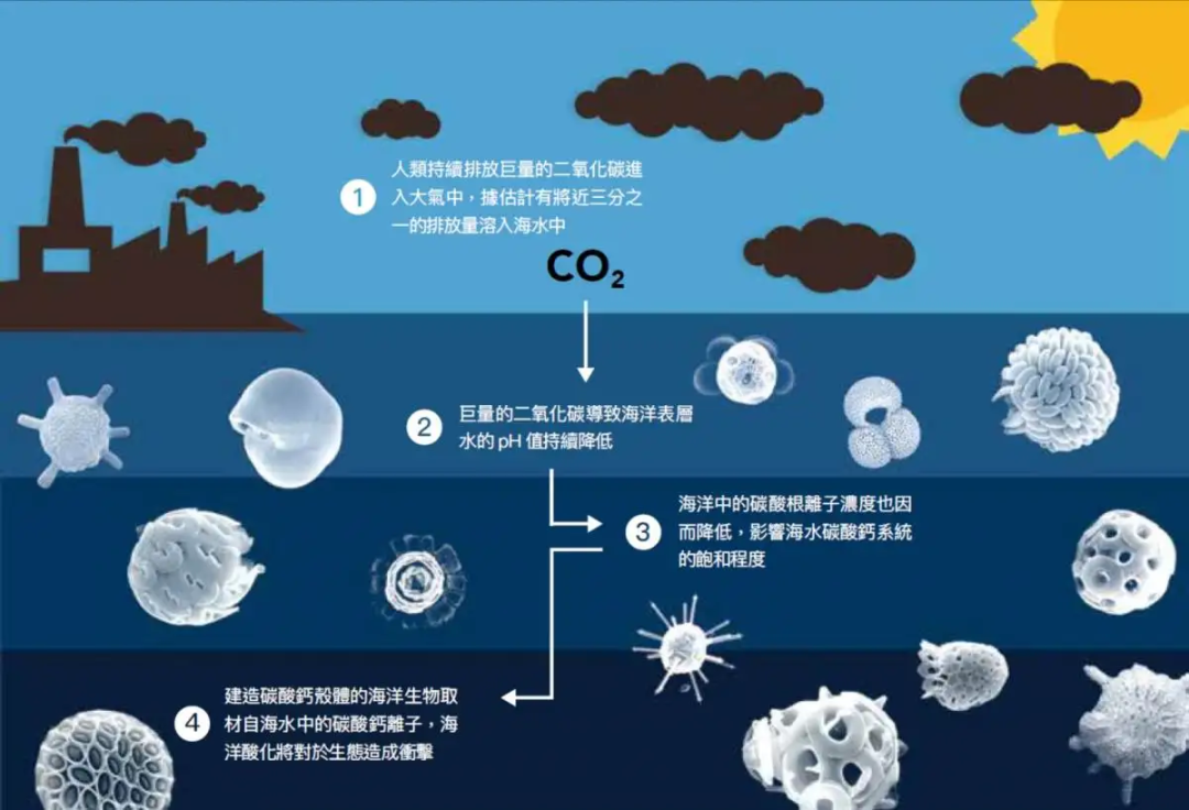 海底世界