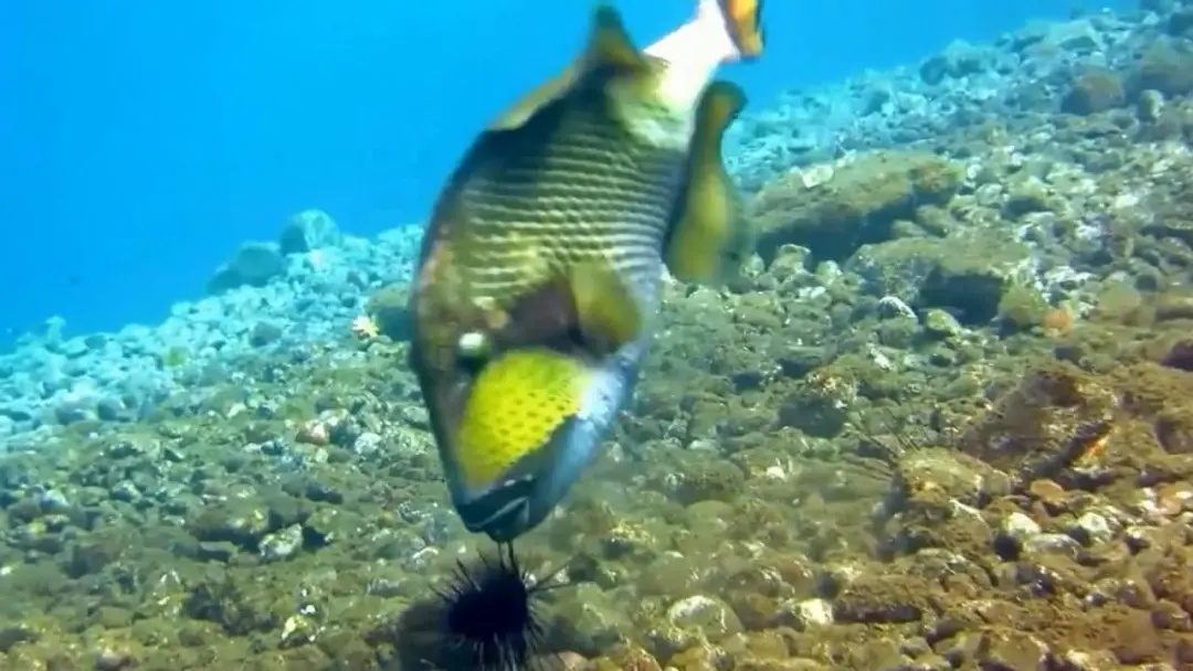 海底世界
