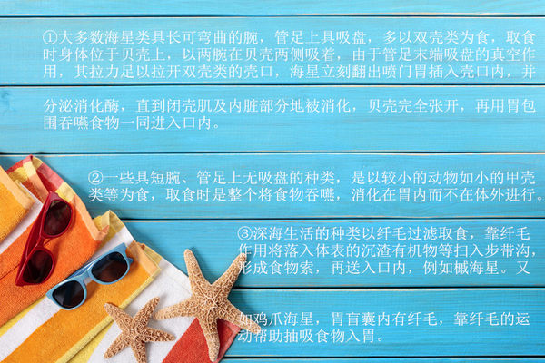 海底世界