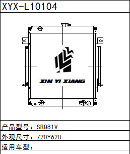 SRQ81V