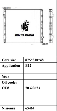 B12