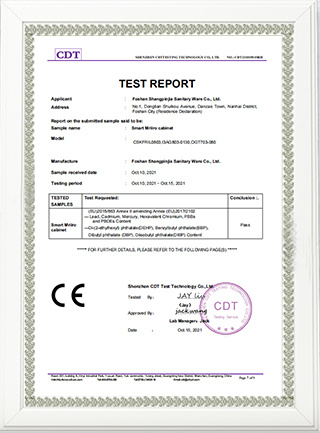 CDT CERTIFICATE CDT CERTIFICATE
