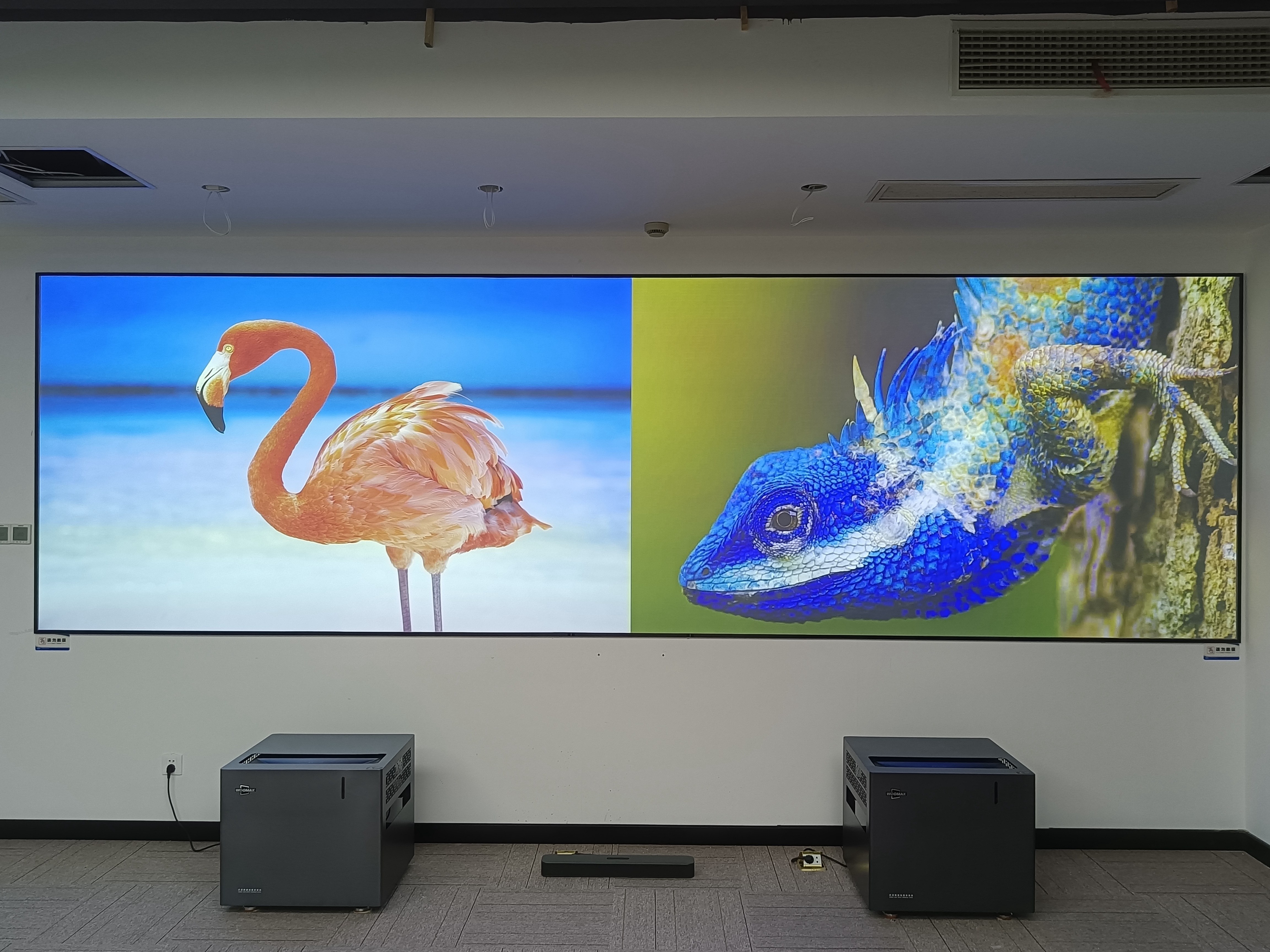 康帕斯WOOMAX激光大屏显示助力企业数字化办公