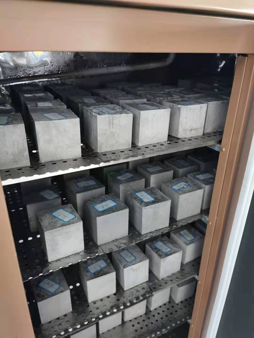 學(xué)生樣品