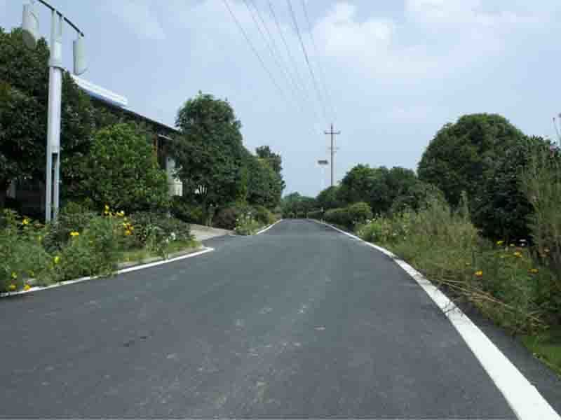 鹿芝岭村村级道路