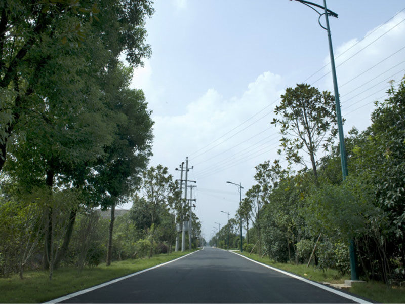 鹿芝岭村村级道路