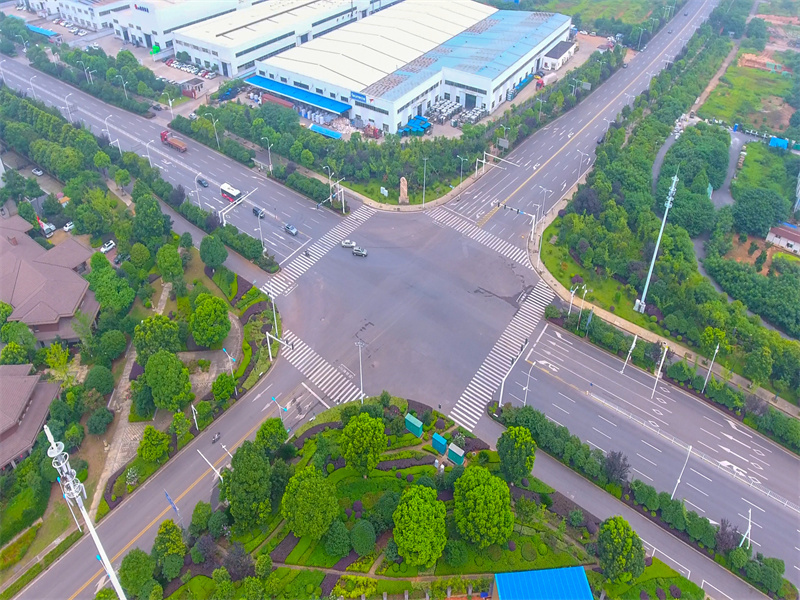 九华经济开发区道路绿化养护