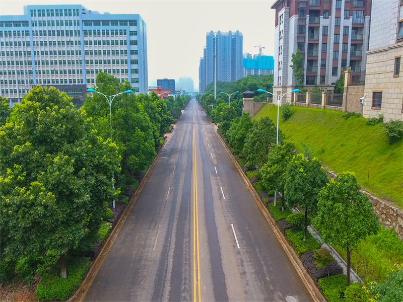 九华经济开发区道路绿化养护
