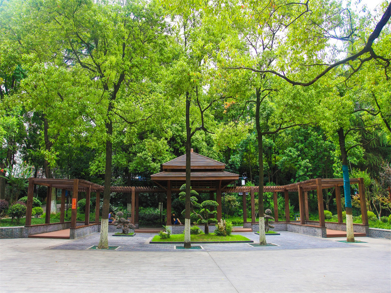 桂花公园