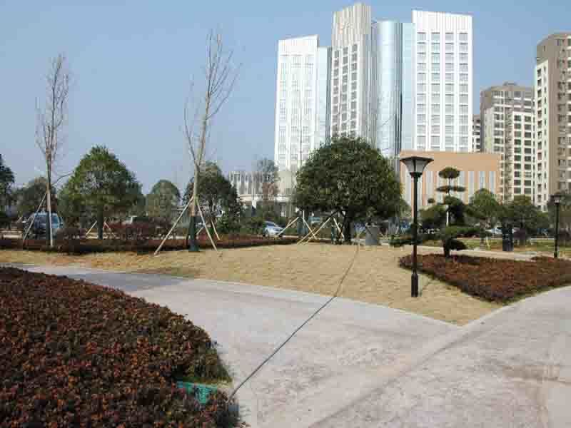 隆平高科技园