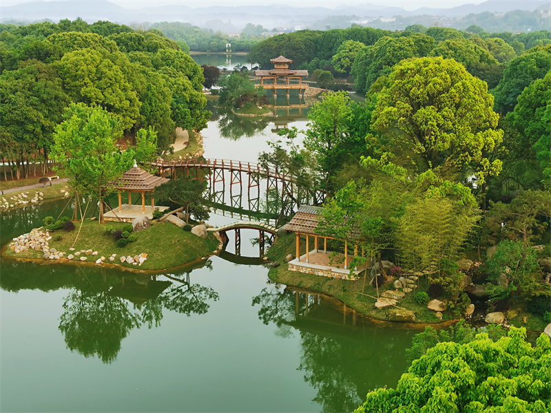 杨梅湖生态公园