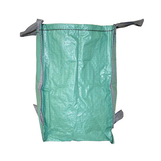 Special-shaped bag