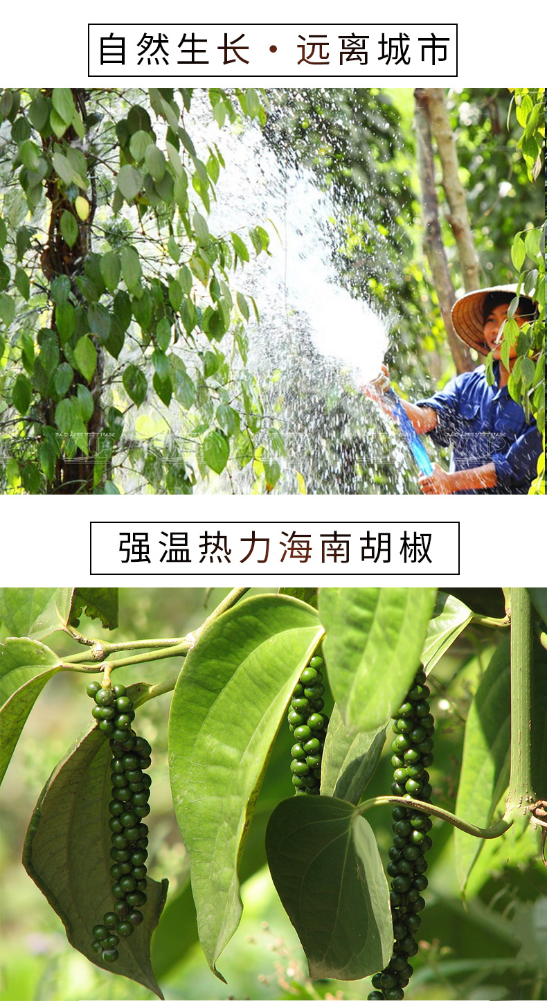 貝克