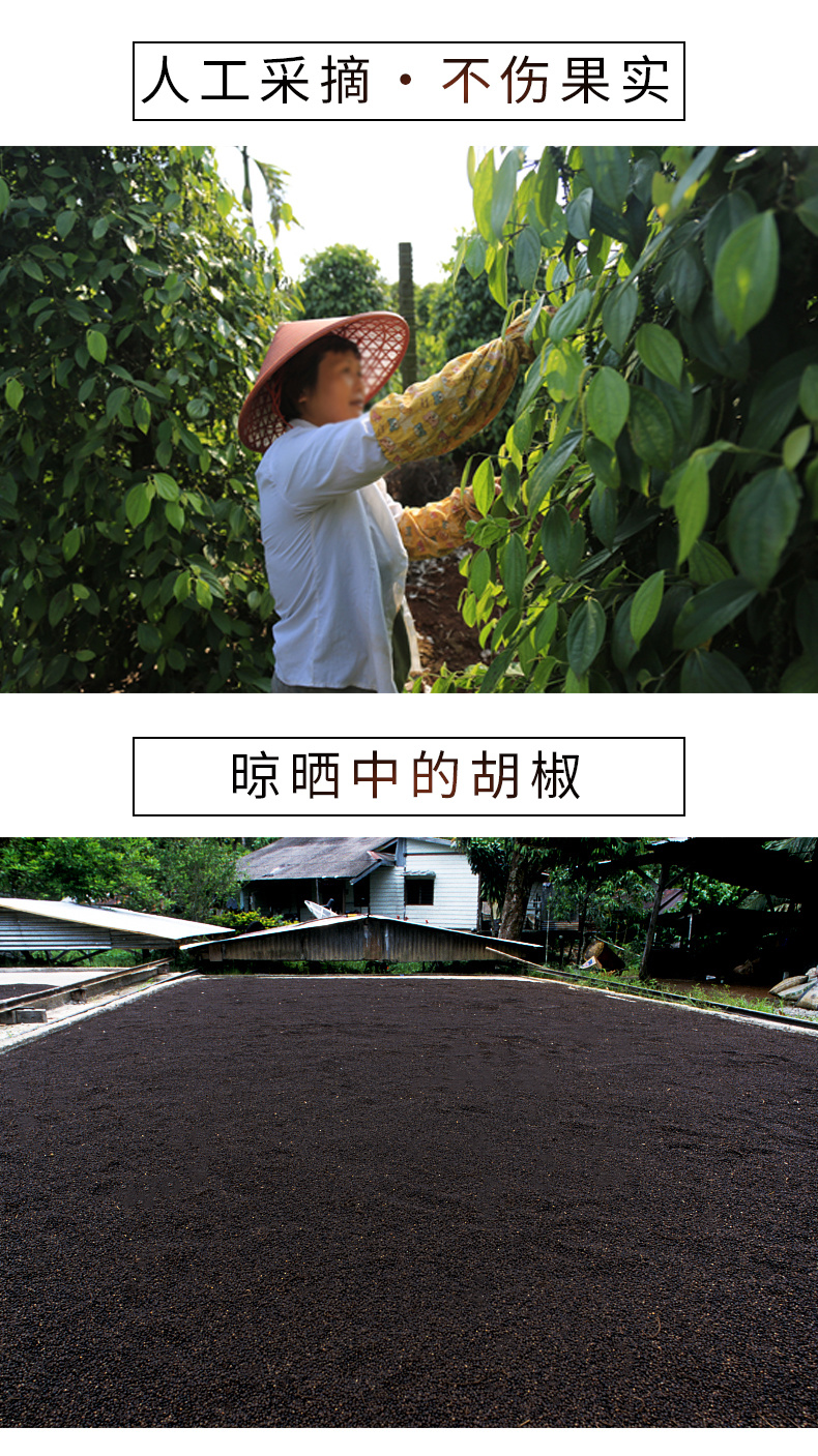 貝克