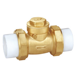 9040 PP-R Brass Check Valve