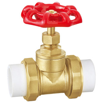 8020 PP-R Brass Globe Valve