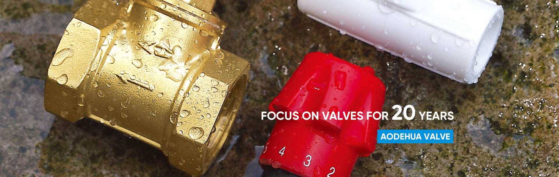 Focus on valves for 20 years