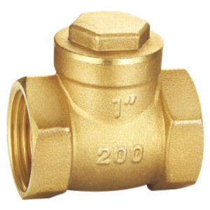 9010 Brass check valve (copper plate, rubber gasket)