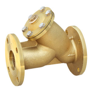 6100 Brass Flange Filter