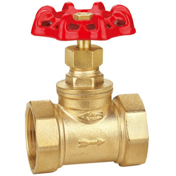 8010 Brass Globe Valve