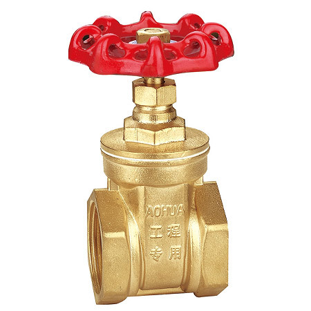 10010 Brass engineering special gate valve