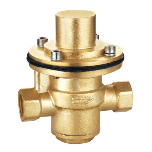7060 Self-operated differential pressure valve