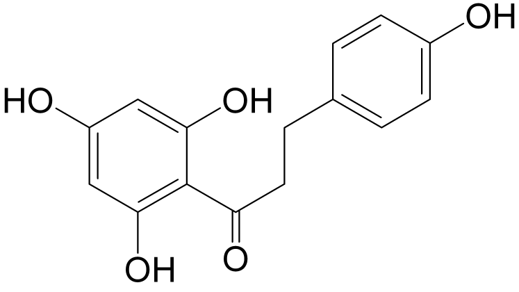Phloretin 根皮素