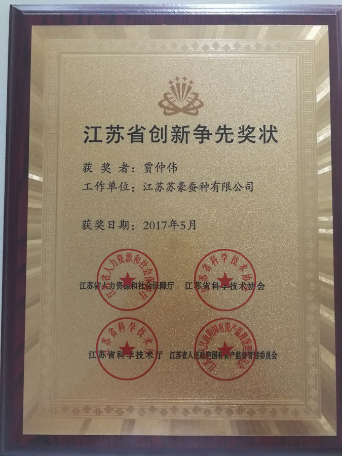 苏豪国际