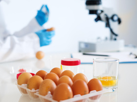 禽蛋產品檢測