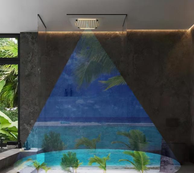 LED music shower