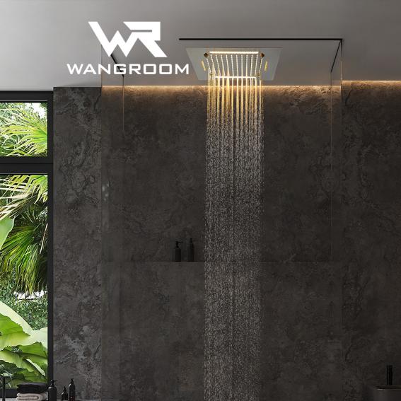 LED shower head