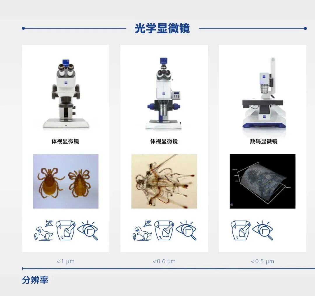 专访古生物学家殷宗军，利用AI显微镜探索动物起源
