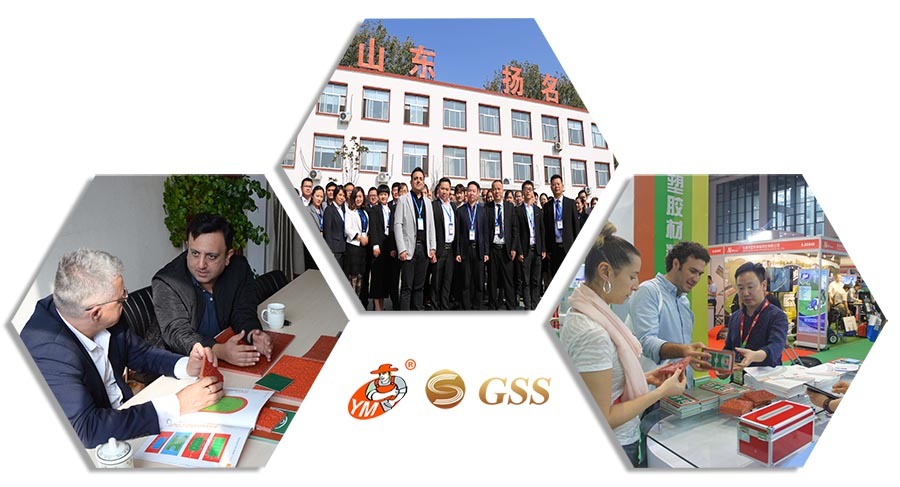 GSS