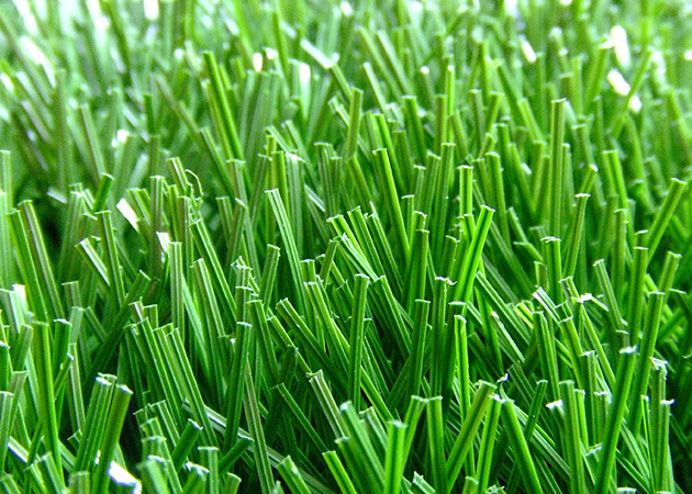 GSS Grass