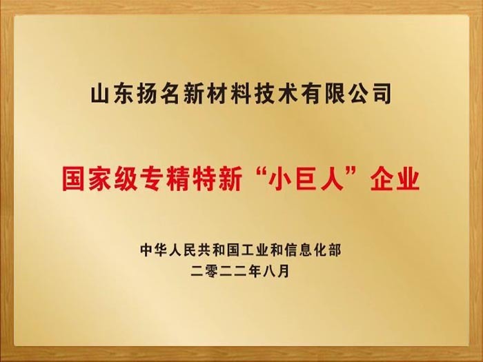 國(guó)際級(jí)專精特新“小巨人”企業(yè) 國(guó)際級(jí)專精特新“小巨人”企業(yè)