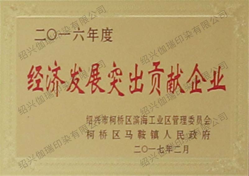 2016 Outstanding Contribution Award for Economic Development