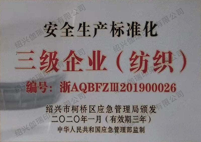 Class III enterprise of safety production standardization (textile)