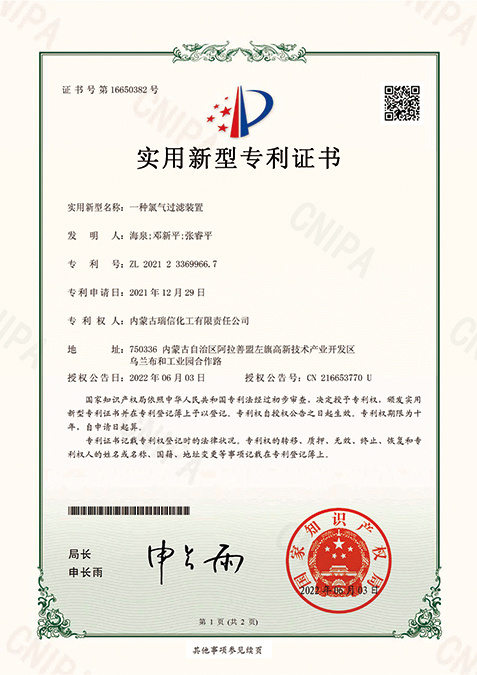 一种氯气过滤装置 ZL 2021 2 3369966. 7