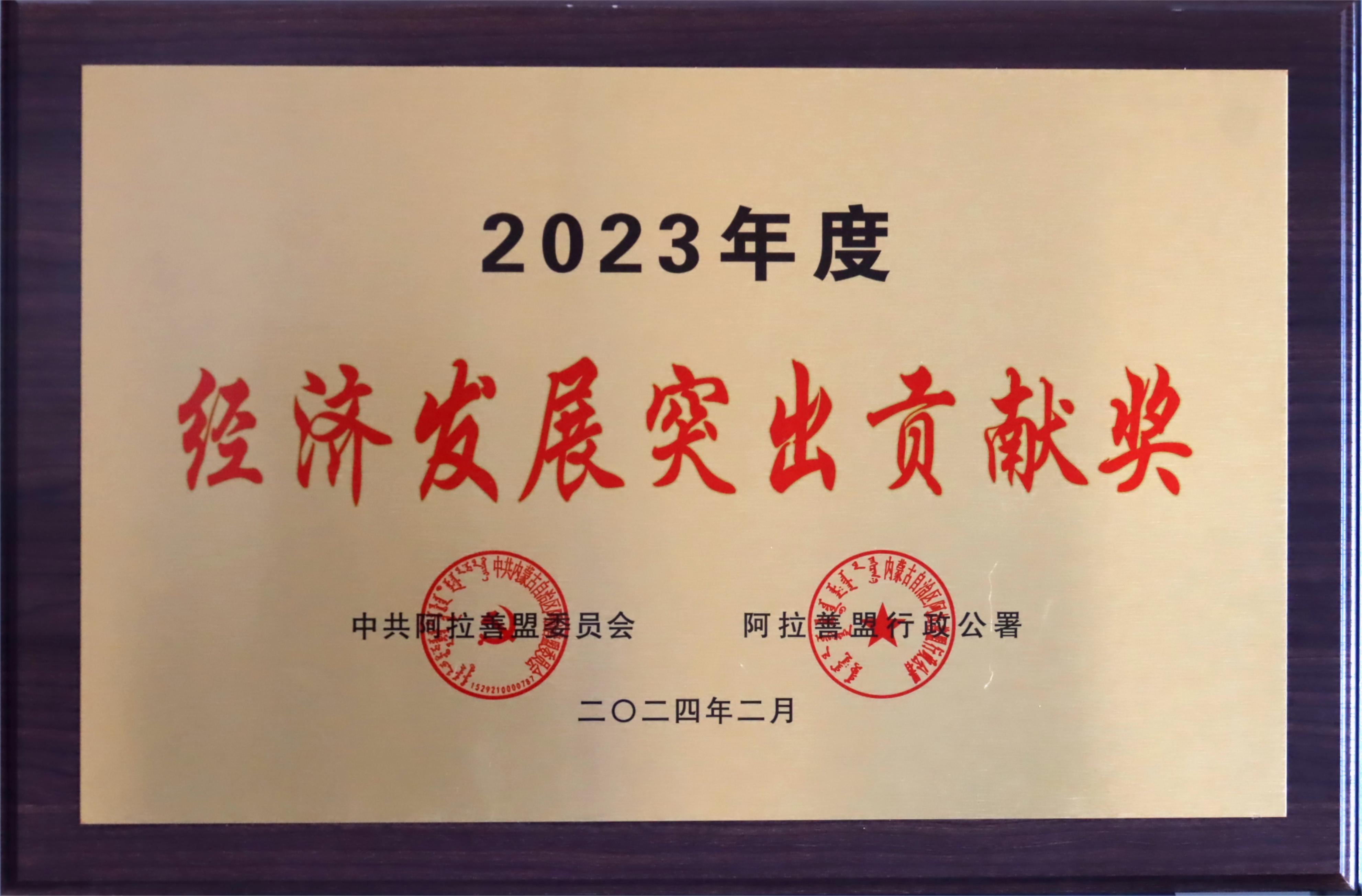 2023年度经济发展突出贡献奖