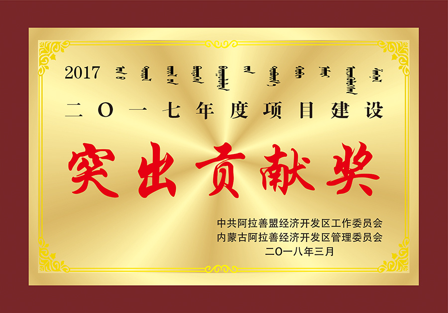 2017年突出贡献奖