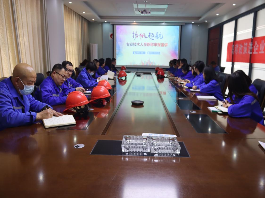 [Talent Construction] Credit RuiXin Chemical, together with the Comprehensive Office of Ulan Buhe Demonstration Zone, held a publicity meeting for the application of professional and technical talents